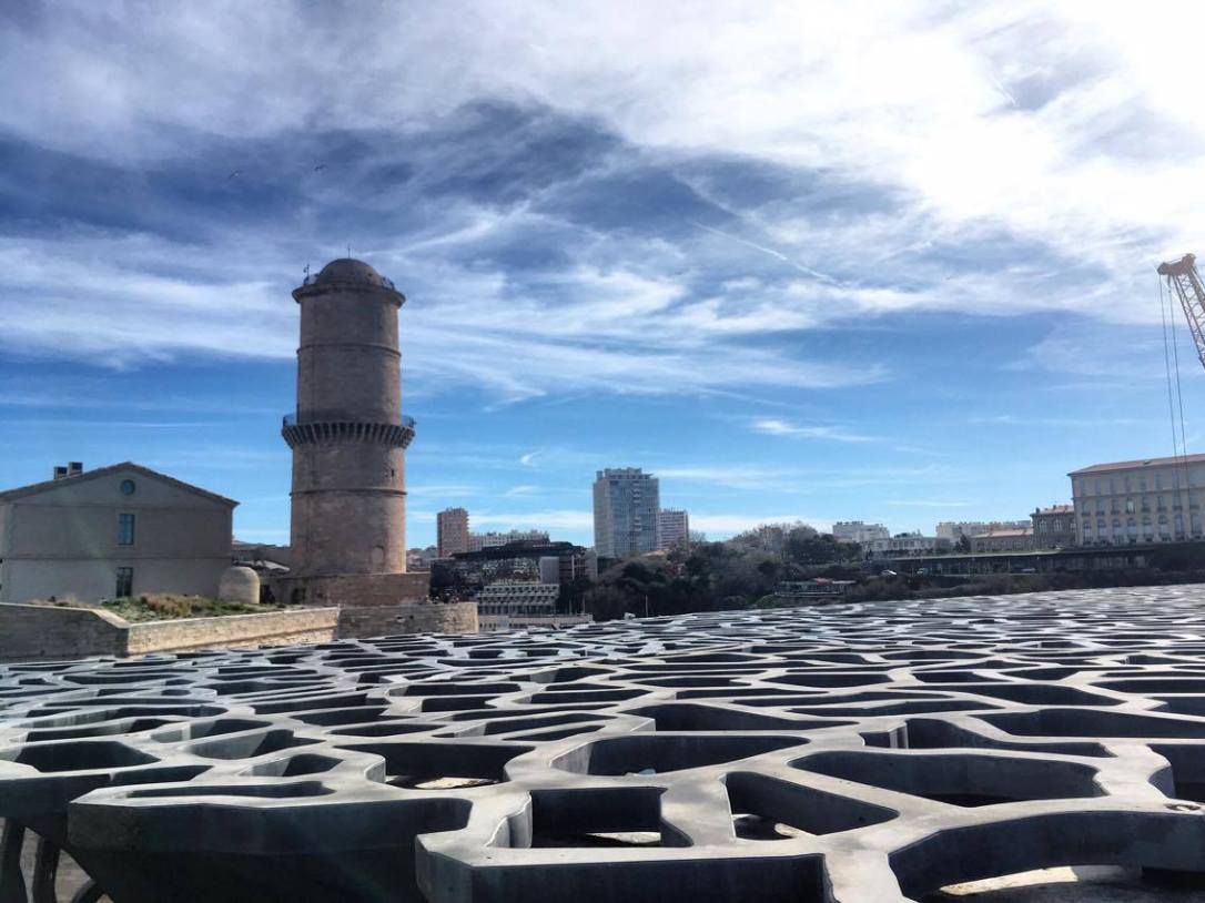 17836892_10158387556690648_1853329268_o