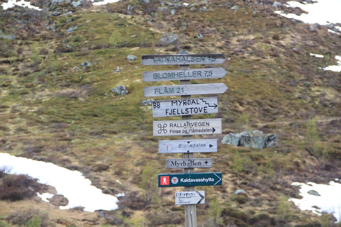 Norway in a Nutshell review Myrdal