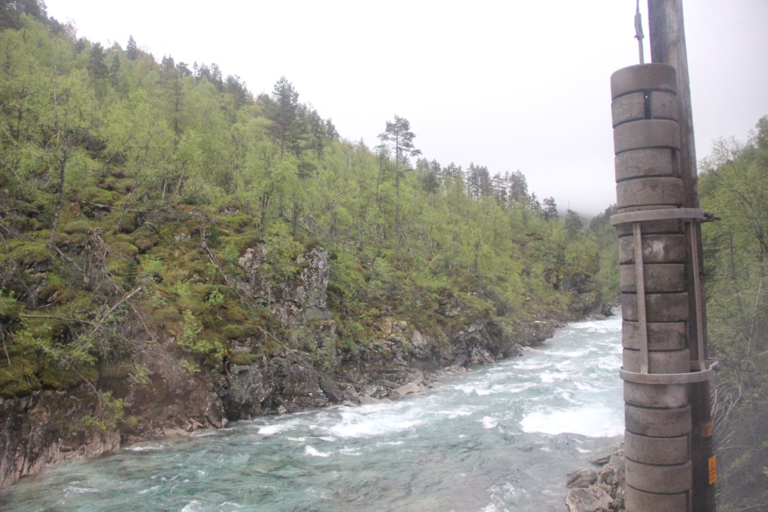 Bergen Railway train