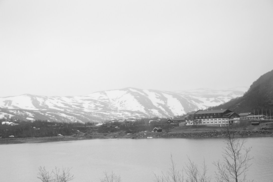 Train Oslo to Bergen