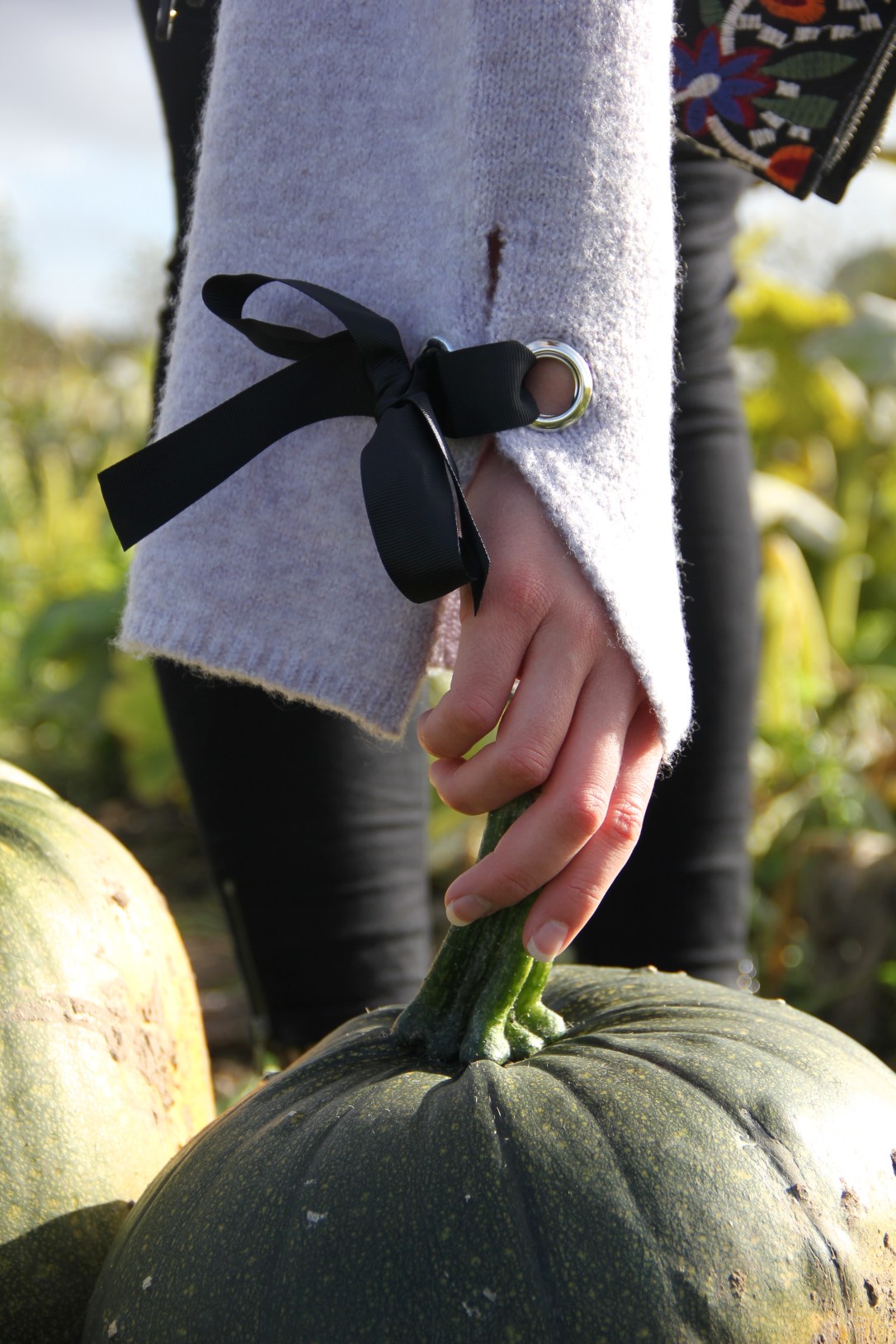 Pumpkin Picking in Norwich | White House Farm