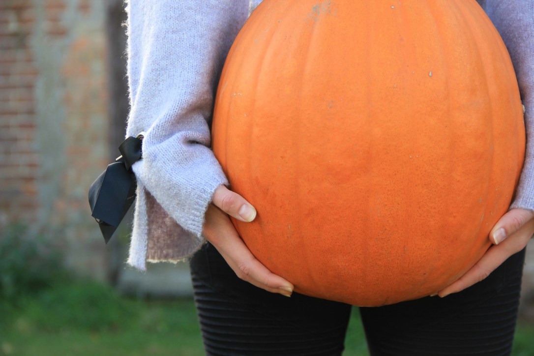 Pumpkin Picking Norwich White House Farm