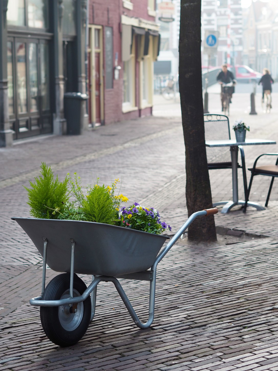 Tulpomania tour of Haarlem