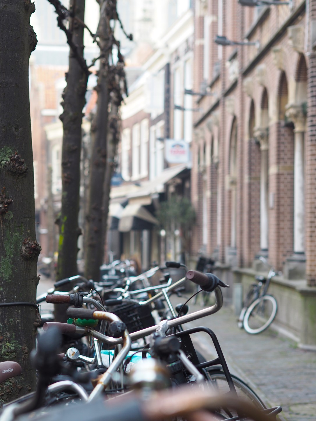 Bikes in Haarlem
