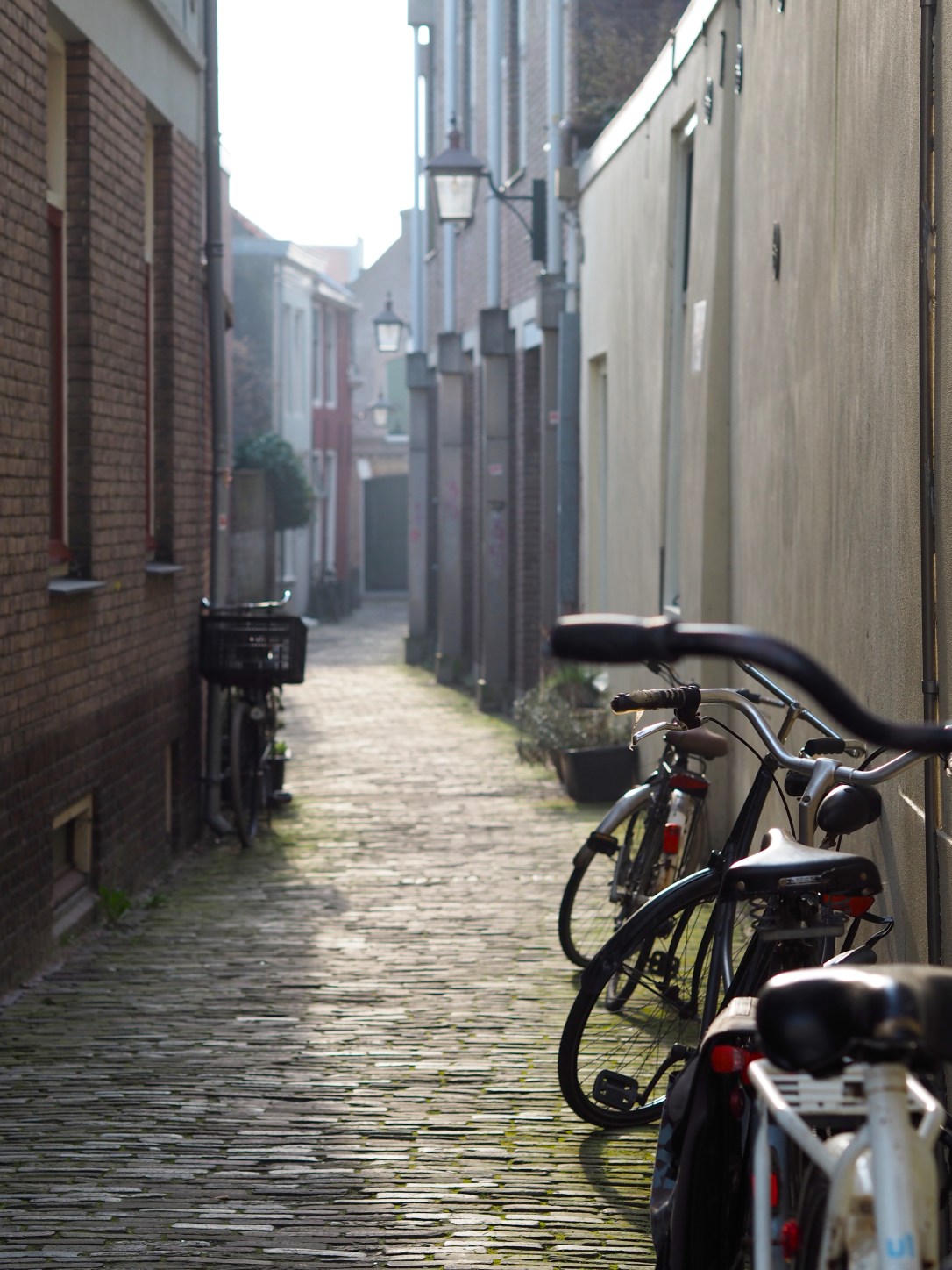 Reasons to visit Haarlem