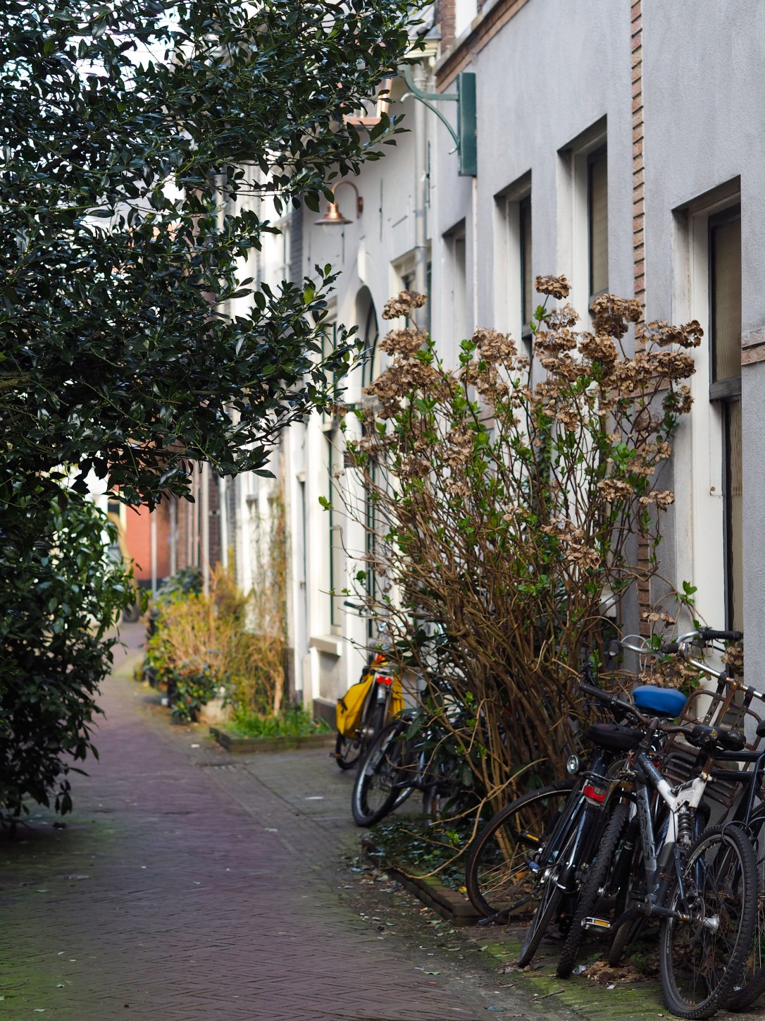 Haarlem sidestreets