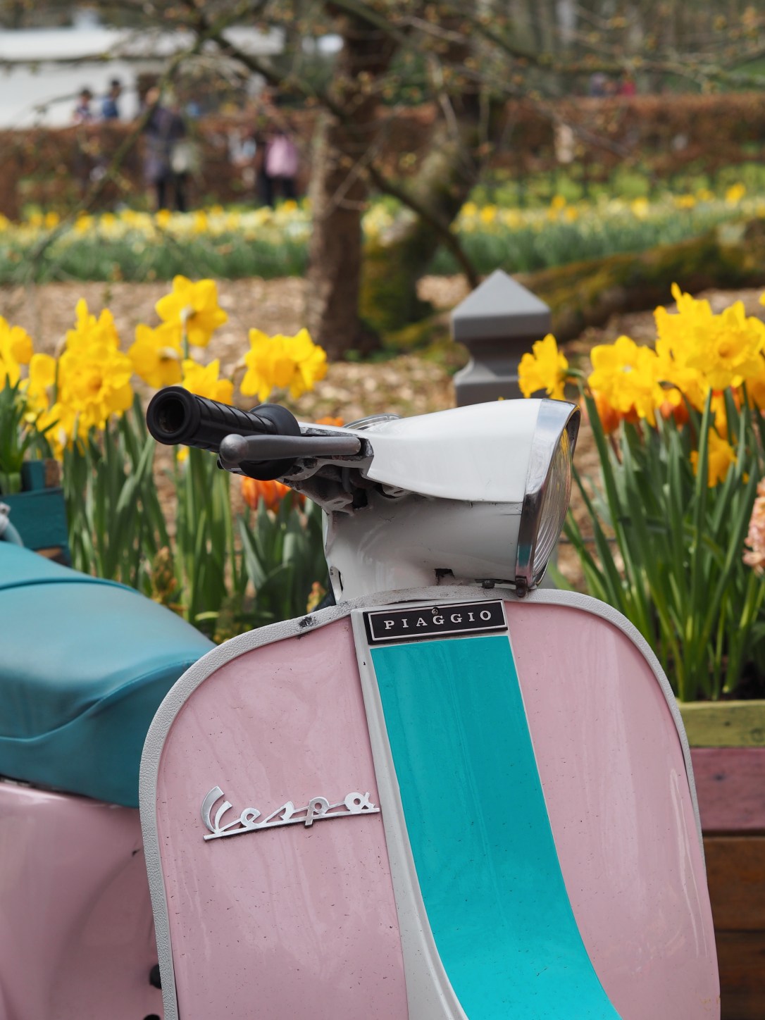 Postcards from Keukenhof Vespa