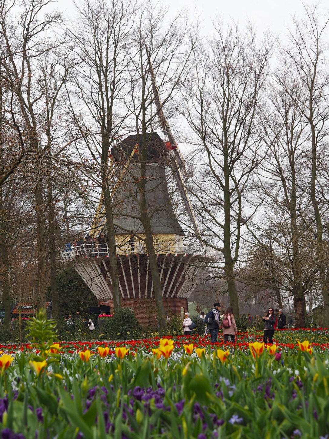 Keukenhof Lisse Windmill in spring