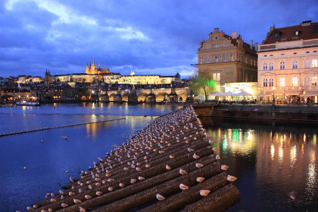 an evening in prague